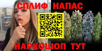 гидра Мариинск