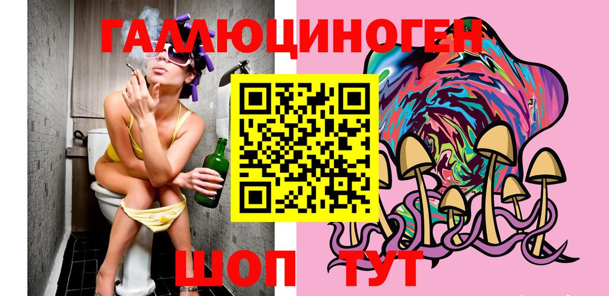 Псилоцибиновые грибы Psilocybe Туапсе