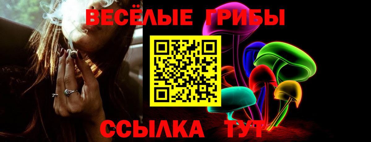 Галлюциногенные грибы Psilocybe  Вход с VPN  Туапсе 